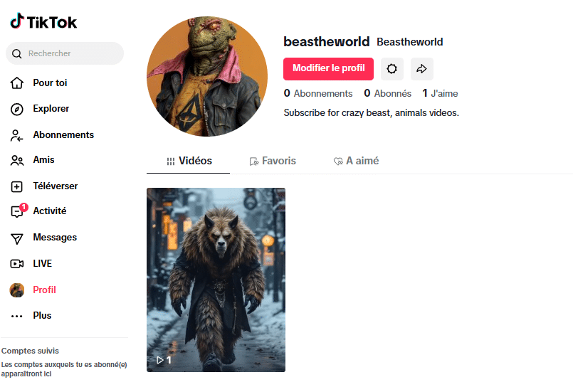 nouveau compte tiktok avec une seule vidéo